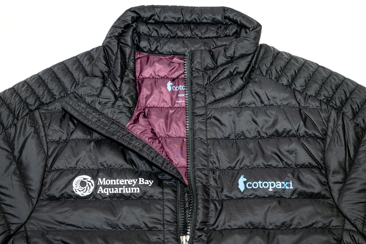 Cotopaxi Capa Insulated Jacket – Monterey Bay Aquarium Edition