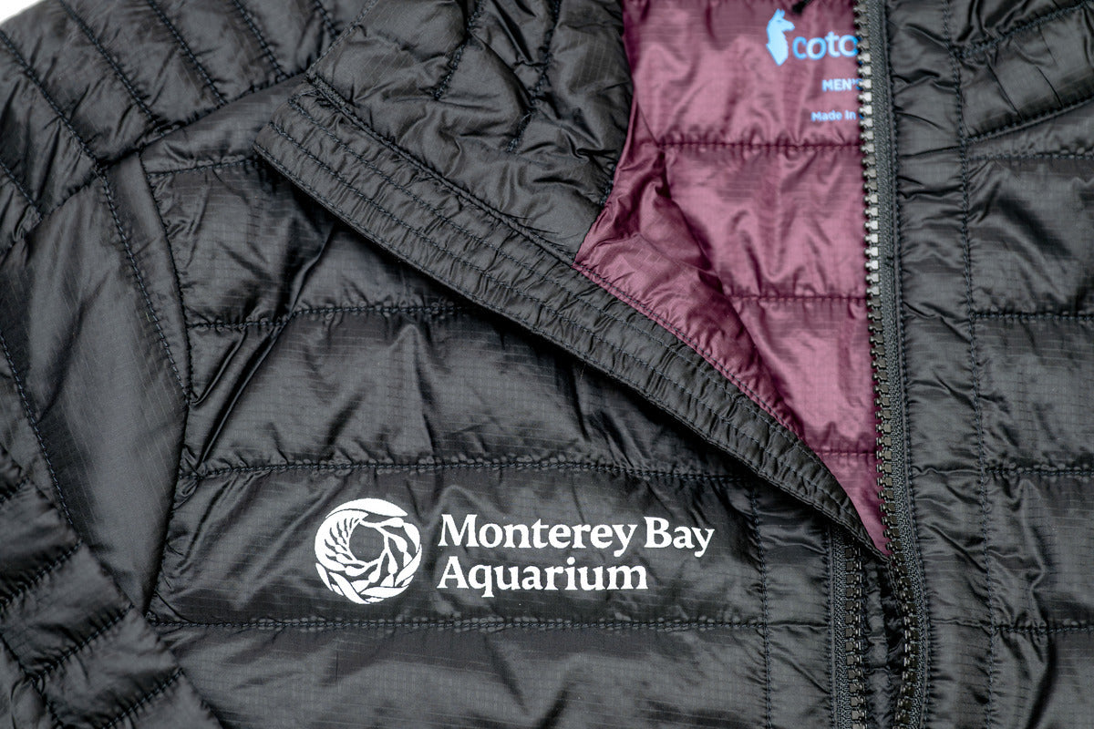 Cotopaxi Capa Insulated Jacket – Monterey Bay Aquarium Edition
