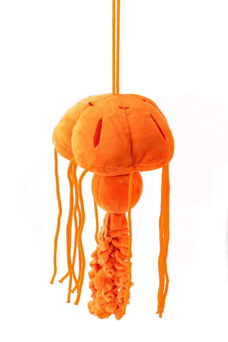 Jellies plush 11 in