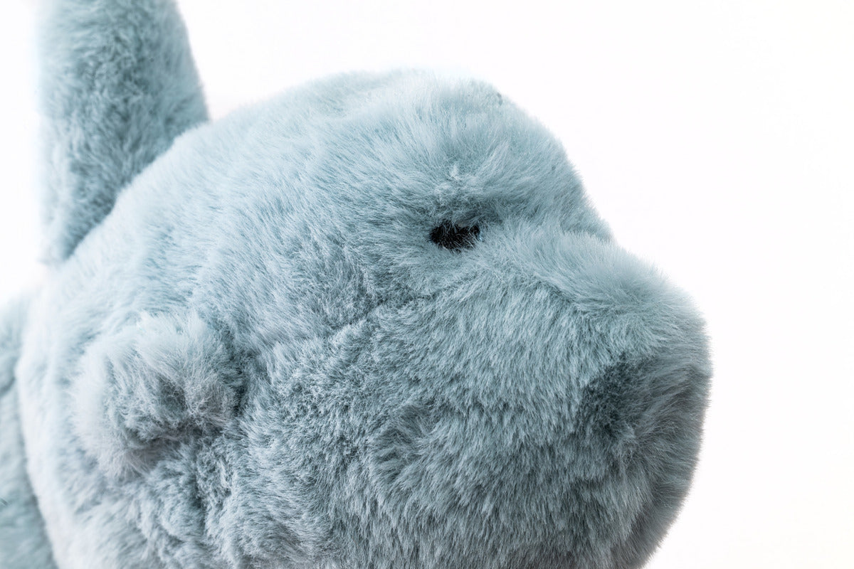 Mola mola plush 8 in