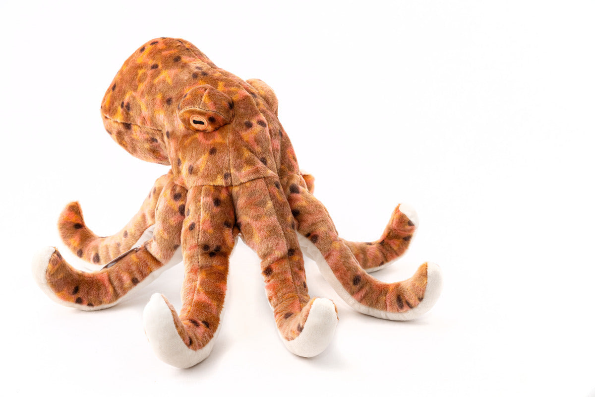 Octopus plush 12 in