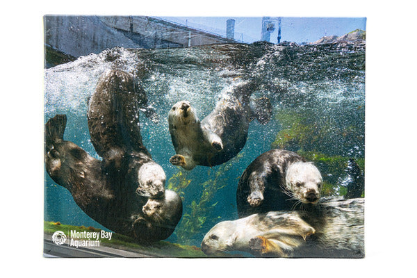 Playful otters puzzle