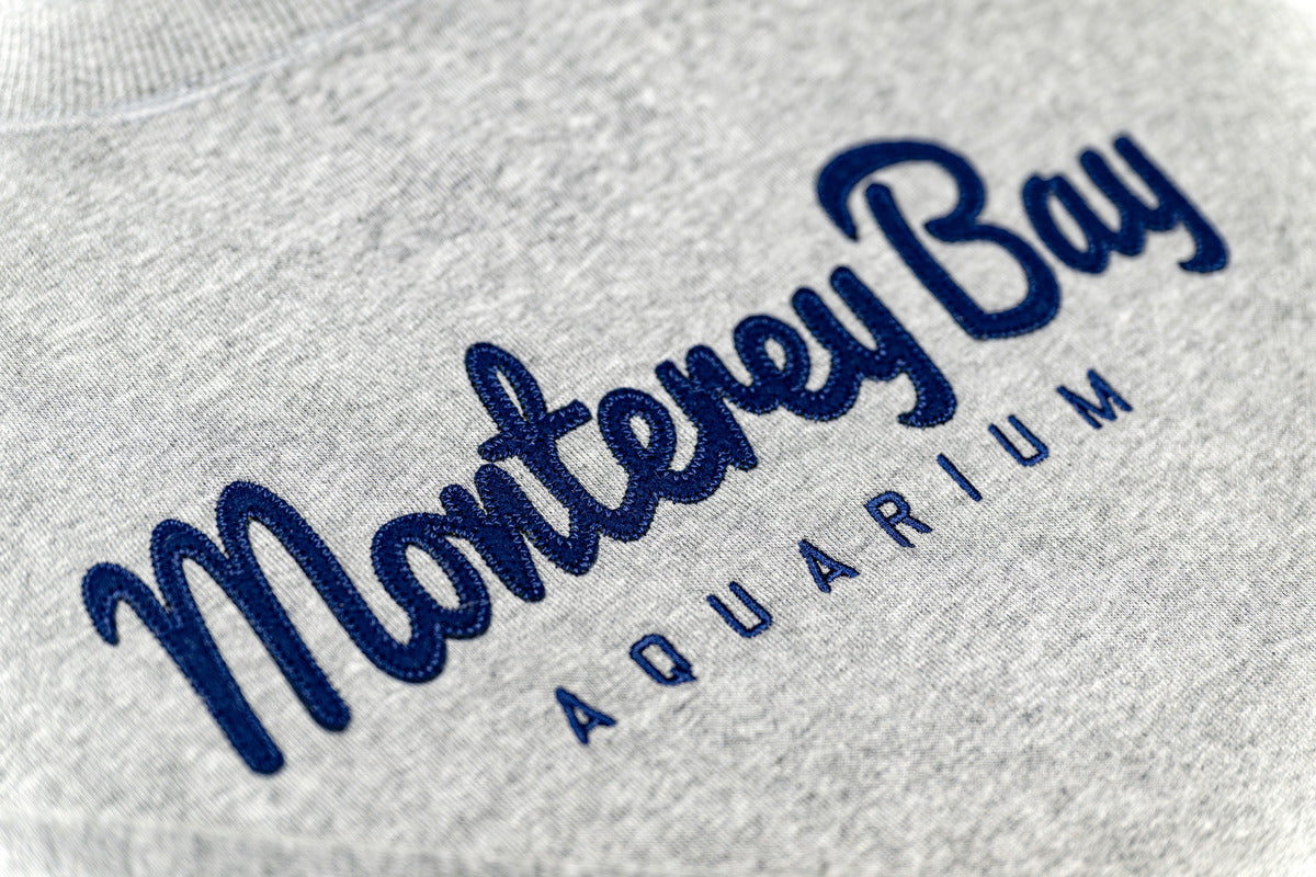 Women’s Champion crewneck sweatshirt