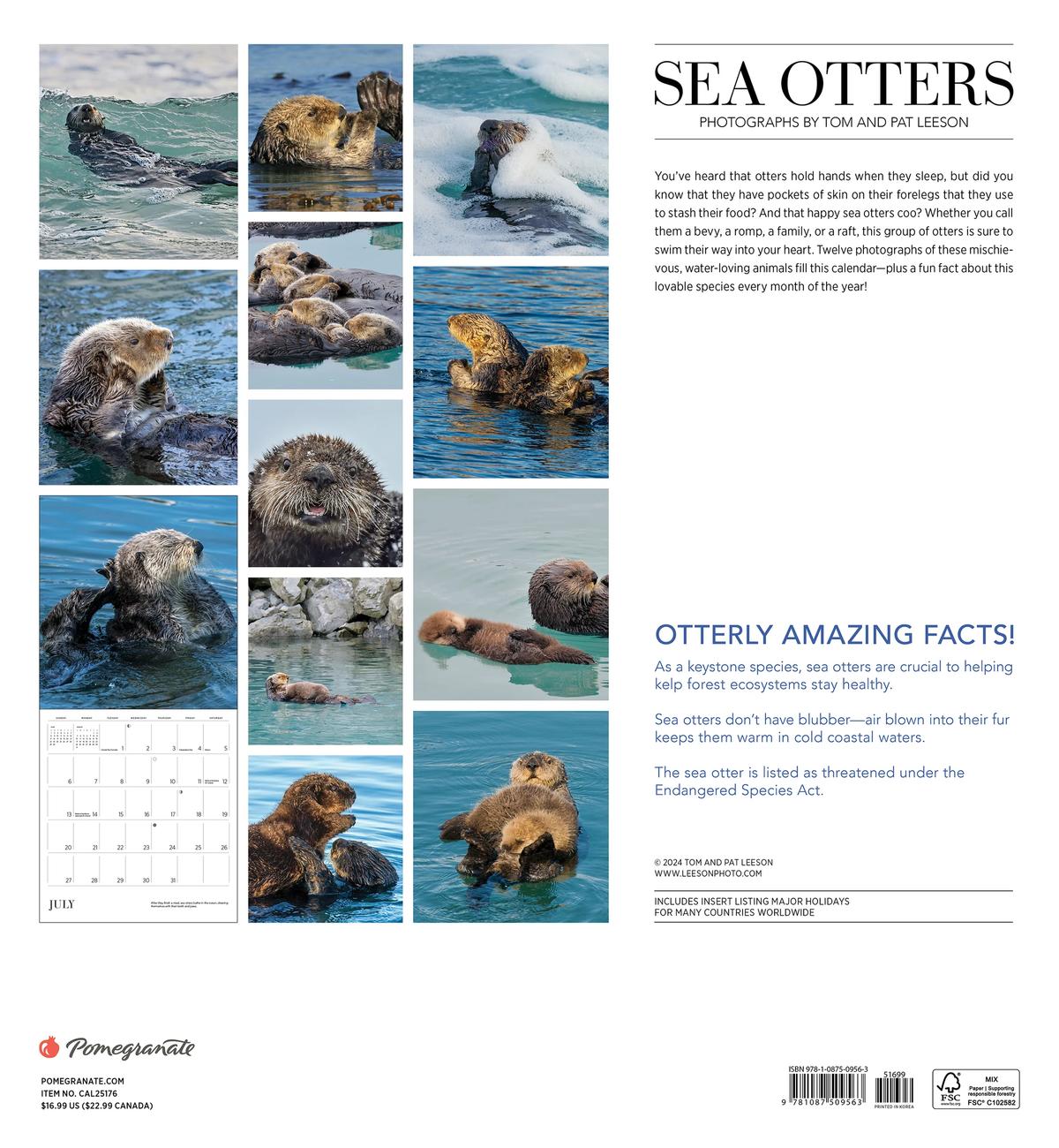 Sea Otter Calendar 2025