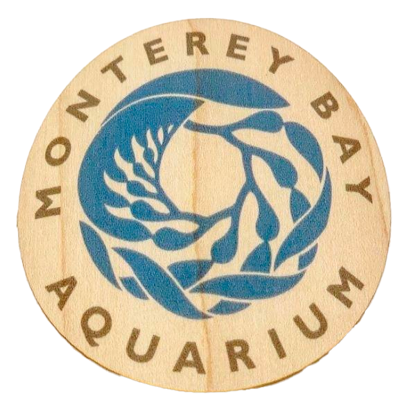 Wood sticker logo blue