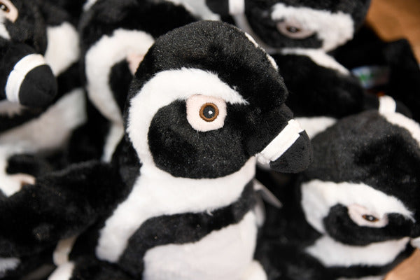 A large group of penguin plush with eyes that are sewed on instead of plastic