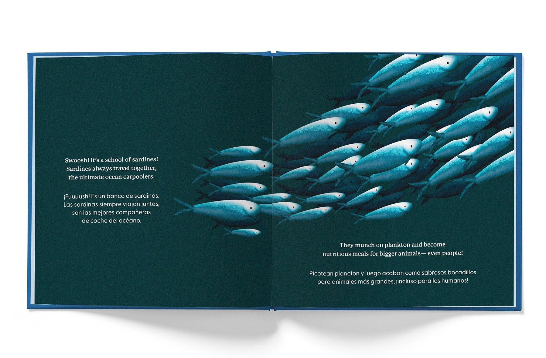 Whose Booty is That? Ocean (English-Spanish)