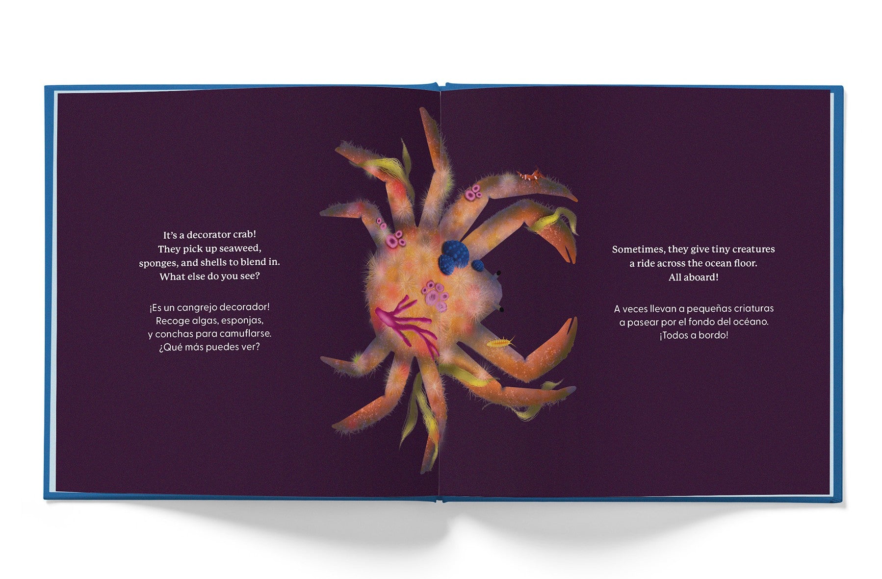 Whose Booty is That? Ocean (English-Spanish)