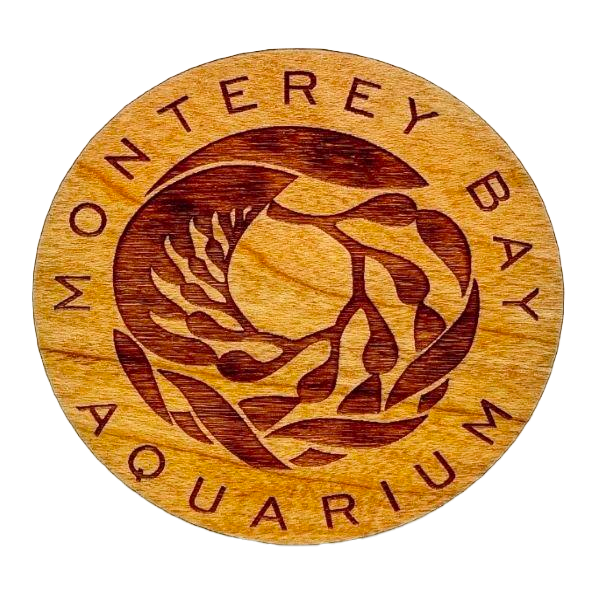 Monterey Bay Aquarium logo wood magnet