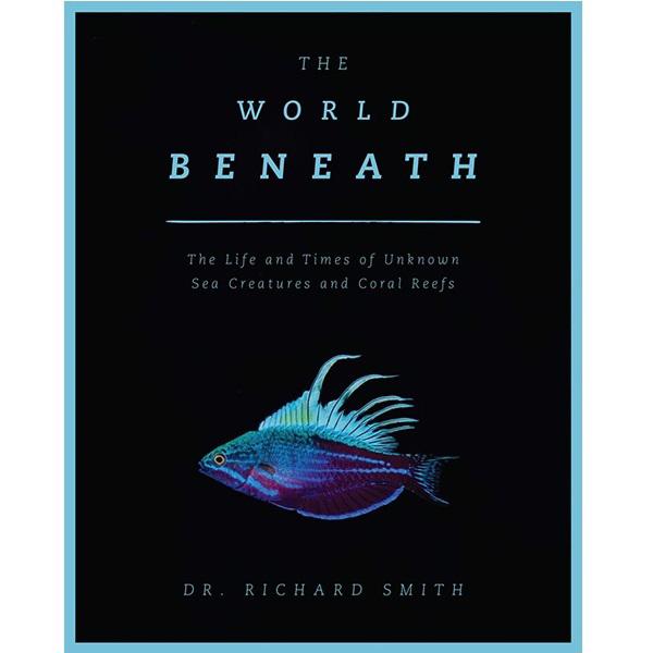 The World Beneath