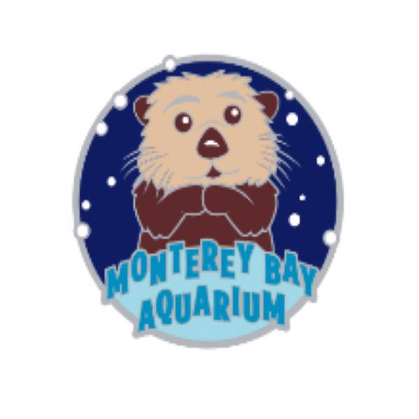Collectible sea otter pin