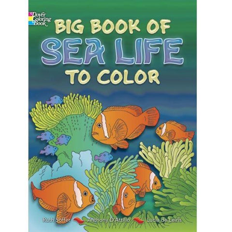 Coloring Book Big Book of Sea Life to Color