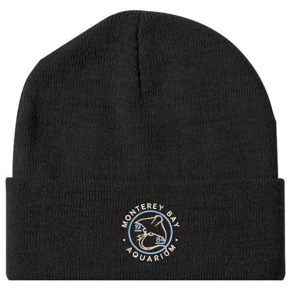 Adult black 1984 ray beanie