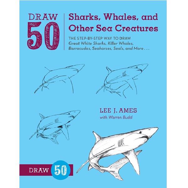 Draw 50 Sharks, Whales, and Other Sea Creatures