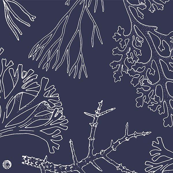 Sea Sketches cotton scarf