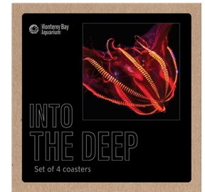 Into the Deep set of four coasters