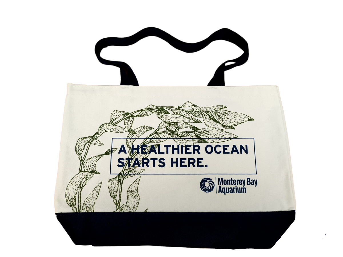 Bag Policy Monterey Bay Aquarium