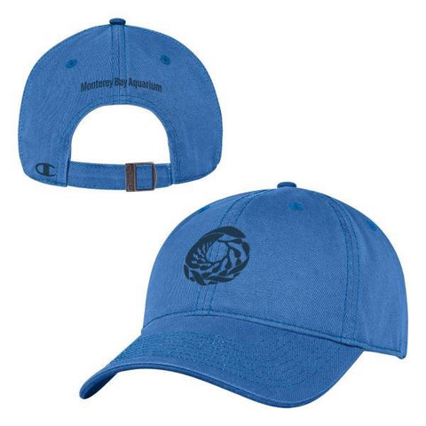 Champion adult blue breeze baseball hat