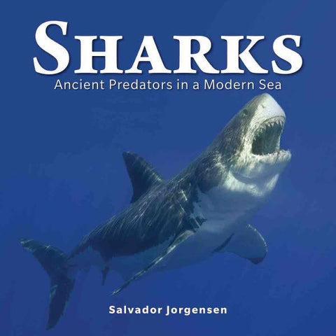 Sharks: Ancient Predators in a Modern Sea